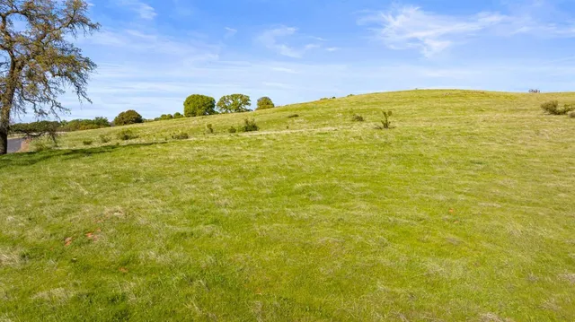 a view of yard with ocean view