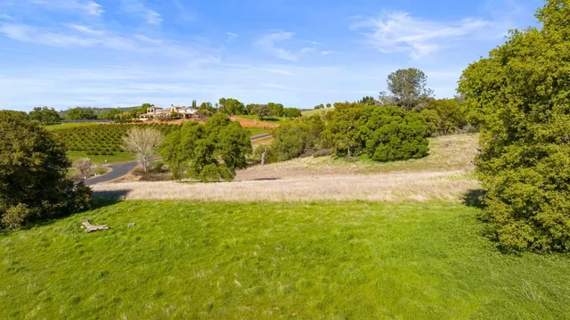 a view of an ocean from a yard