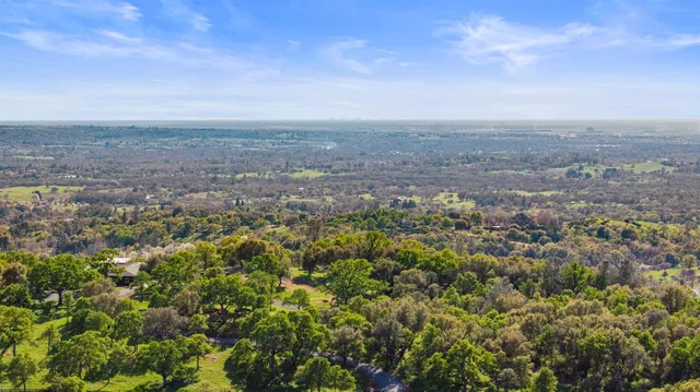 a view of a street with a tree on the side of it