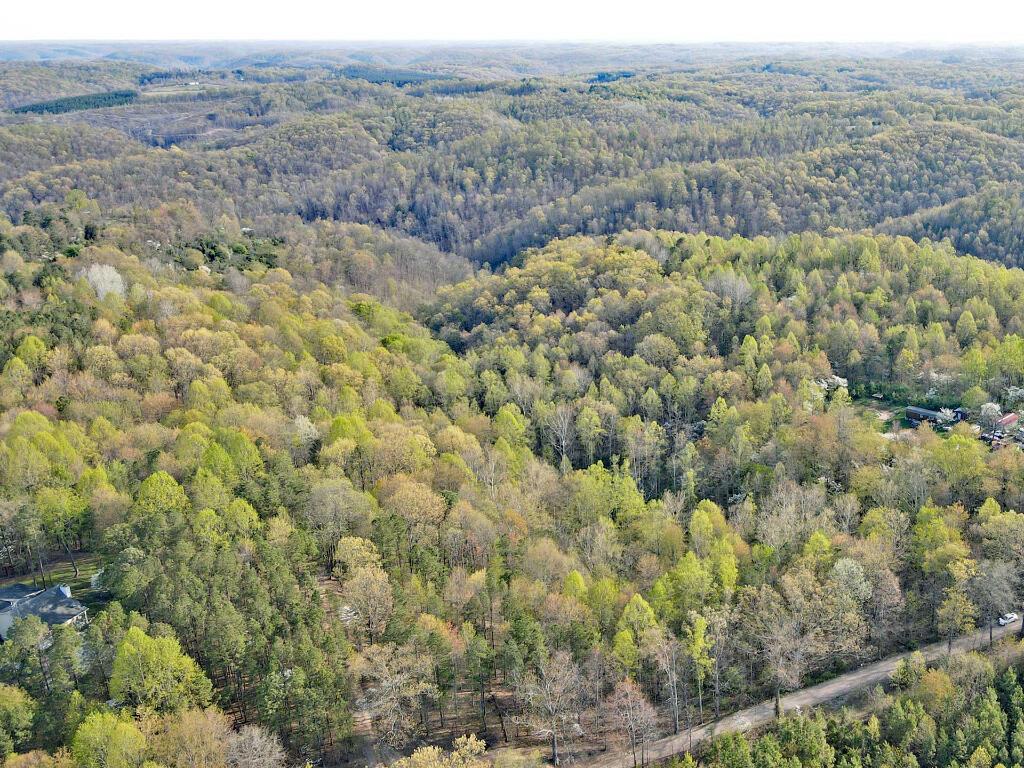 Lot 6 Tennant Road Ray, OH 45672 - Photo 2 of 12 01