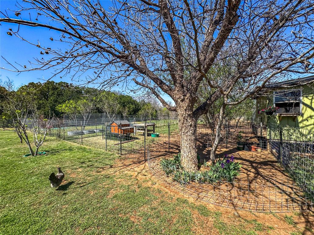 1209 Taylor Avenue Rule, TX 79547 - Photo 16 of 40 a view of a park with large tree
