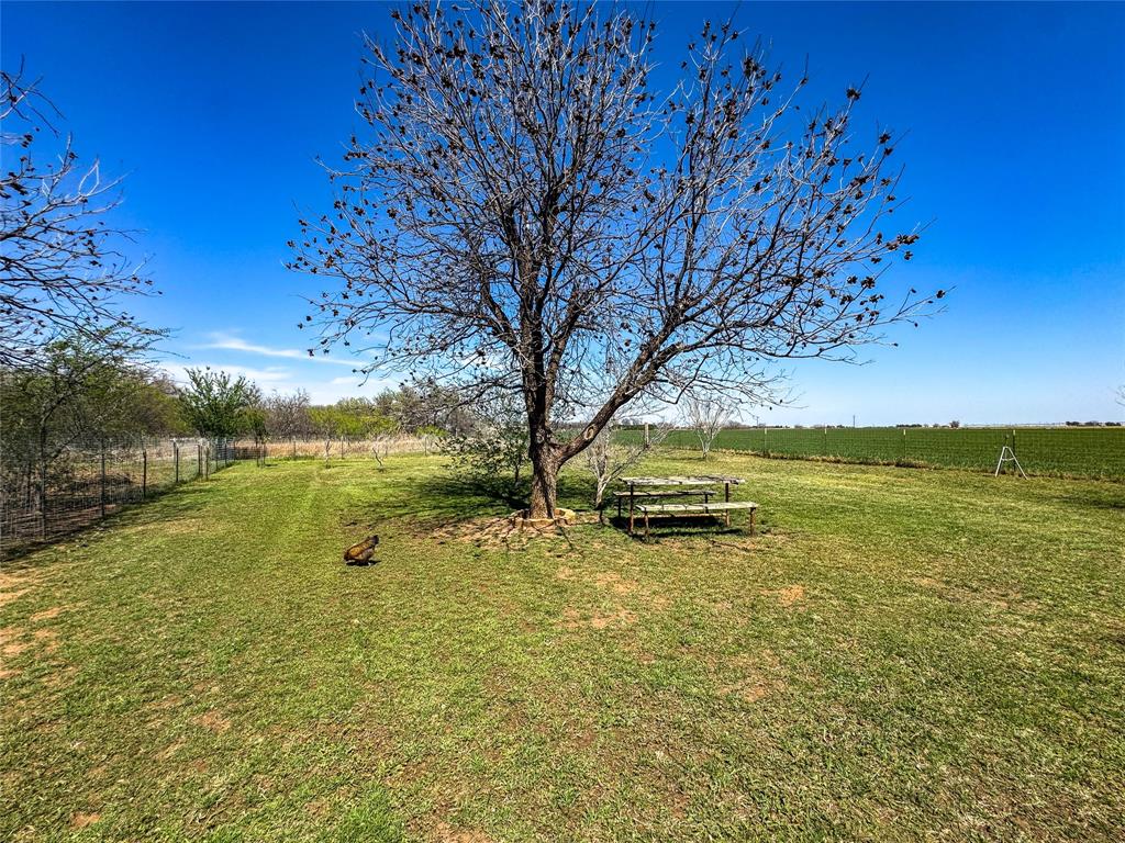 1209 Taylor Avenue Rule, TX 79547 - Photo 24 of 40 a view of a yard with a tree