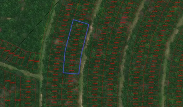 $30,000 | Tbd Wood Forest, Livingston, TX 77351