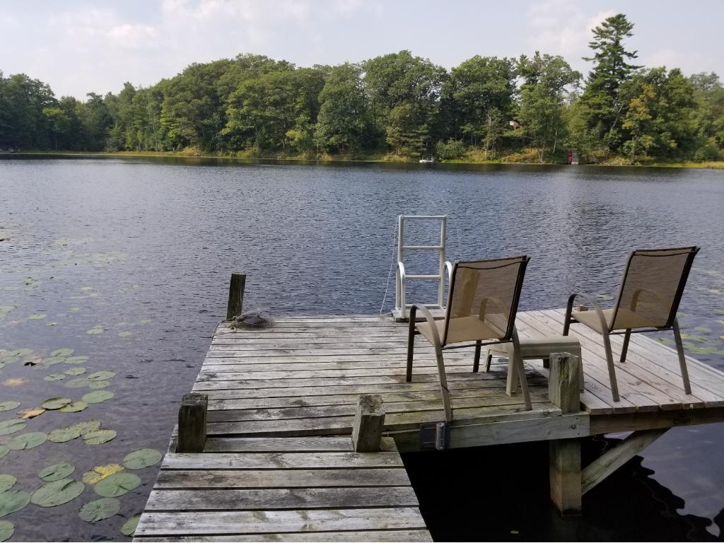 N2415 2 Bear Road Weyerhaeuser, WI 54895 - Photo 1 of 1 Gallery Image 1