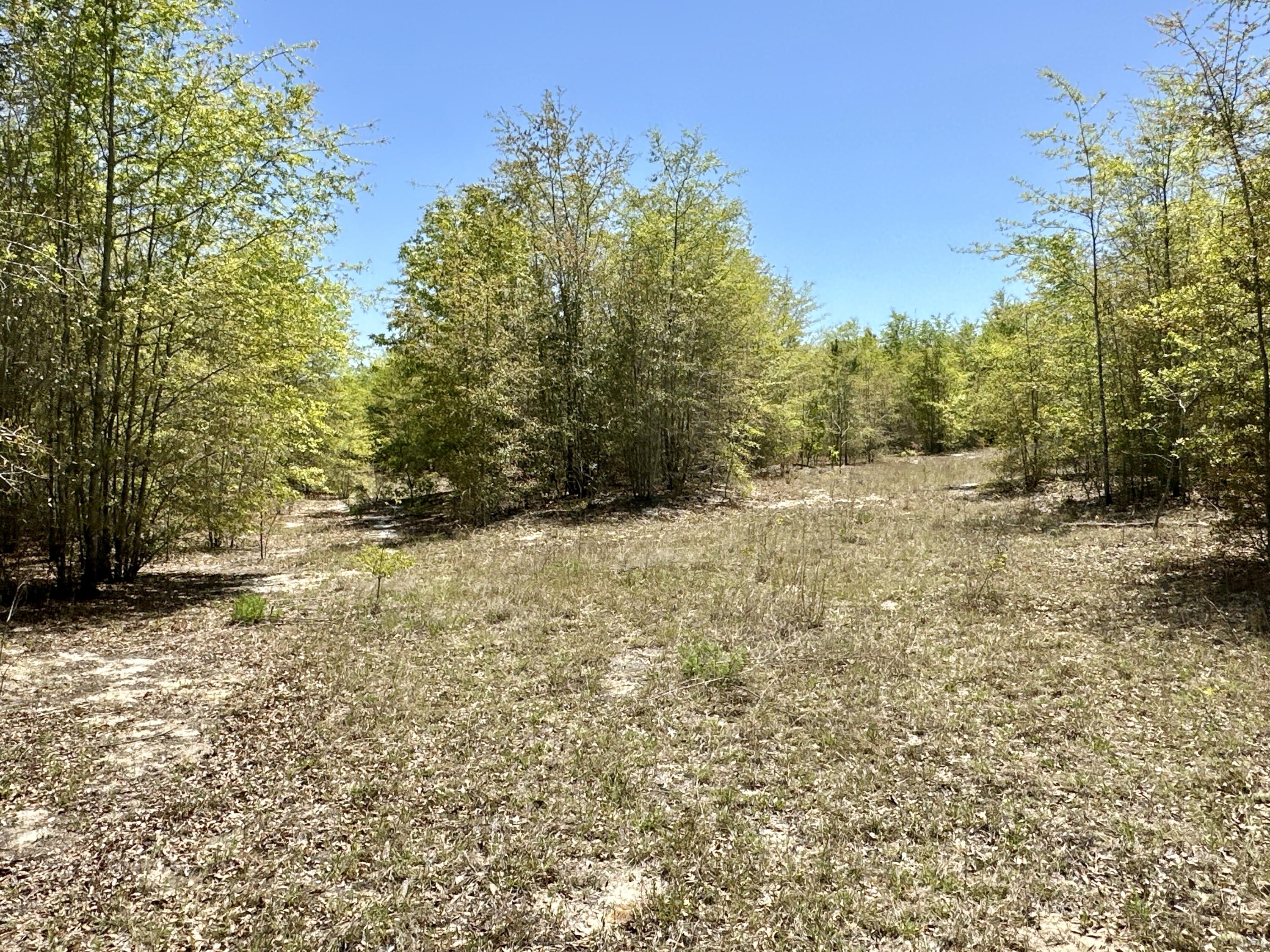 3021 Salley Road Salley, SC 29137 - Photo 60 of 73