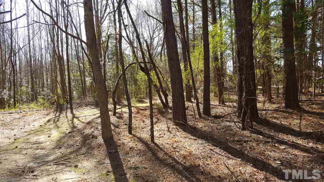 521 North Pleasant Coates Road Benson, NC 27504 - Photo 10 of 20 Gallery Image 10