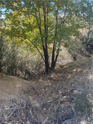 a view of outdoor space and trees