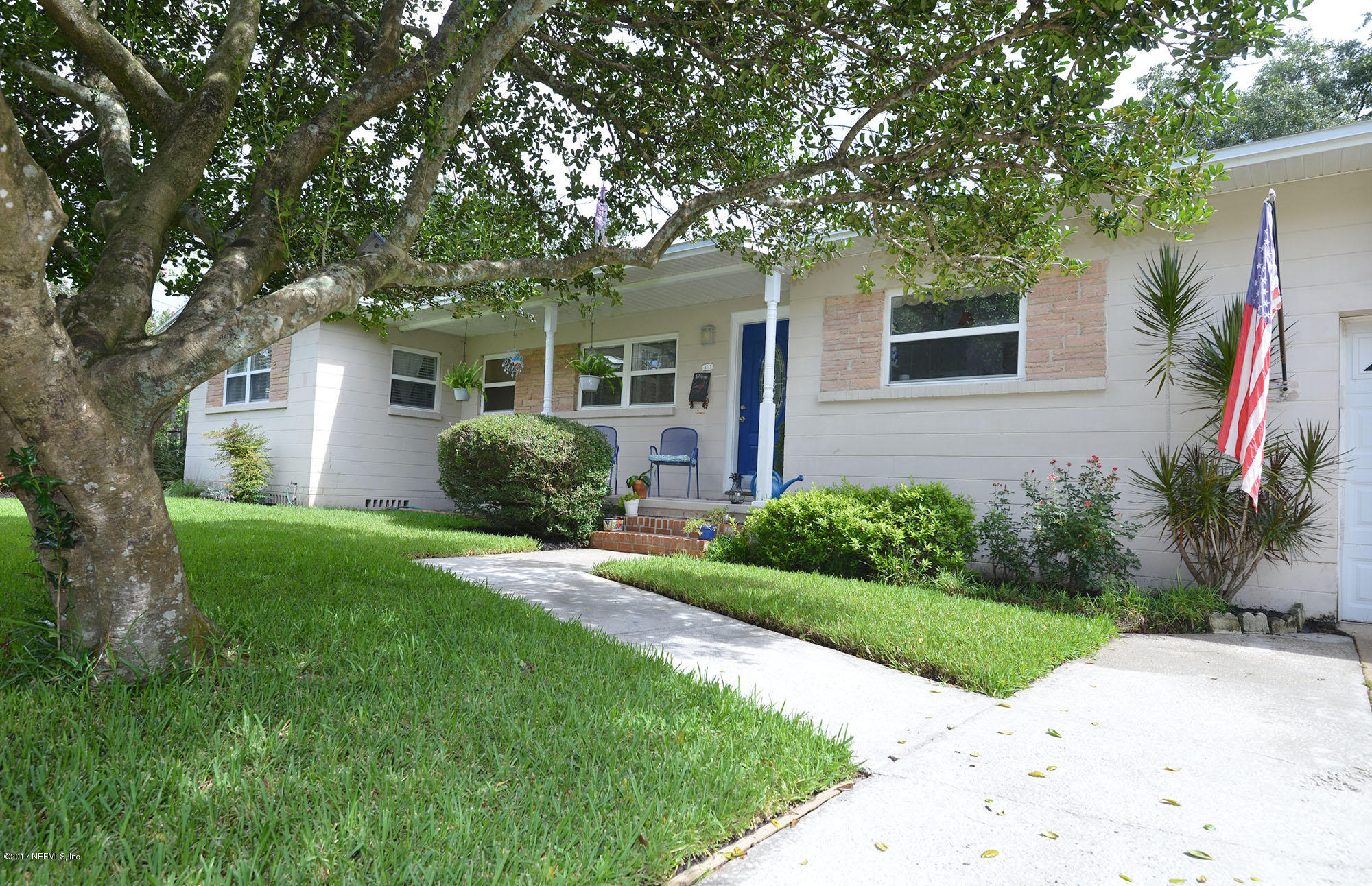 3747 Coronado Road Jacksonville, FL 32217 - Photo 3 of 30 One of the few with a tree