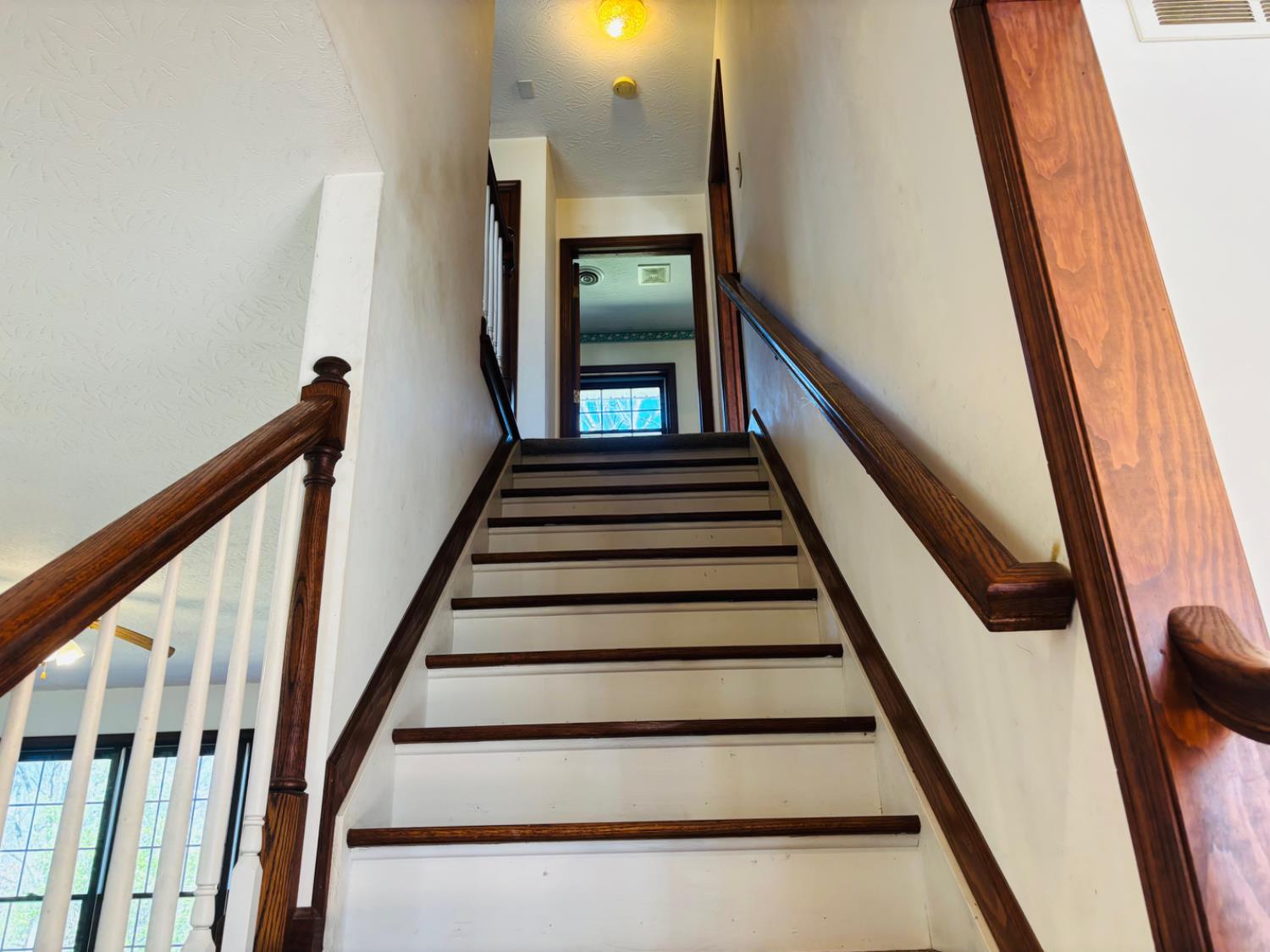 6118 Riley Pike Brookville, IN 47012 - Photo 21 of 54