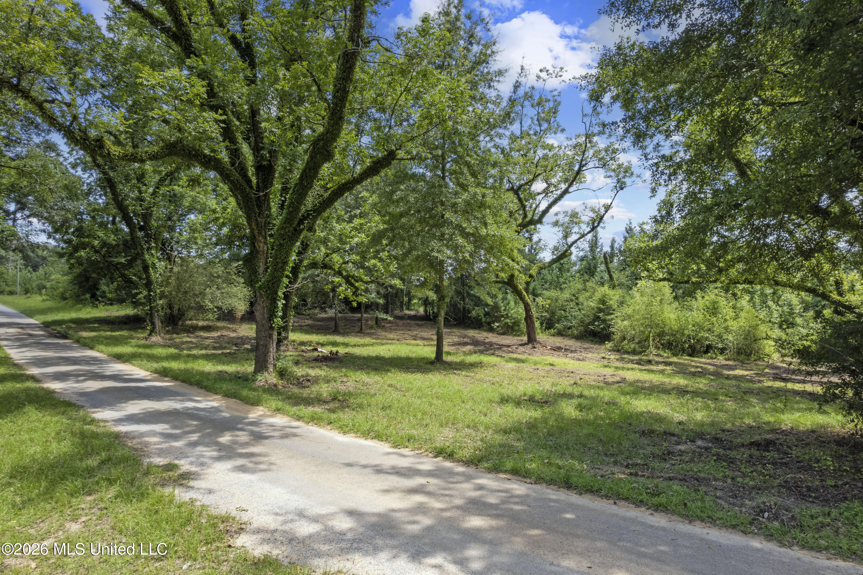 13 Co Road Louin, MS 39338 - Photo 2 of 29 DJI_0304