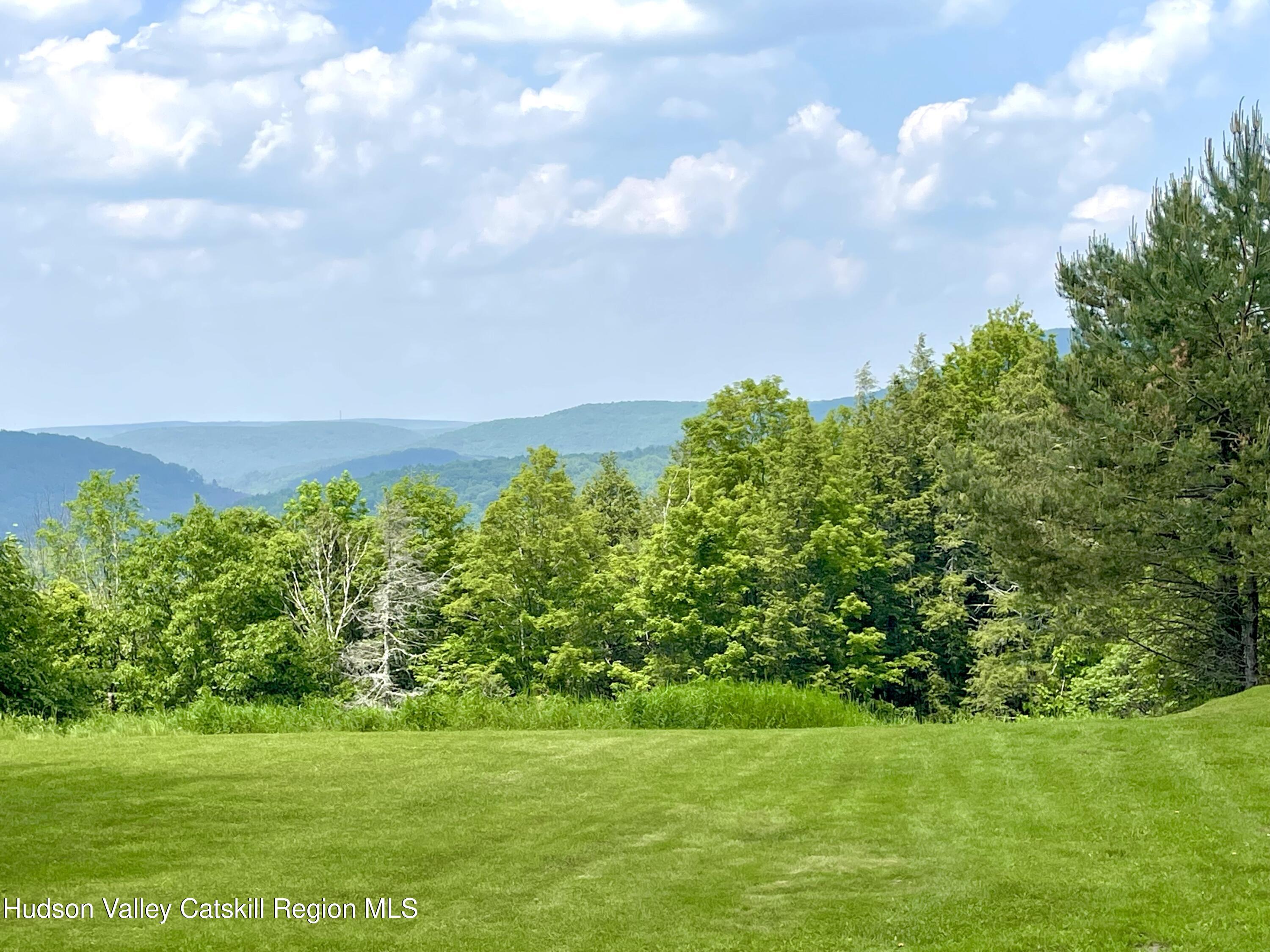 27 Terrace Drive Lexington, NY 12468 - Photo 12 of 37 a view of a big yard with plants and a large tree