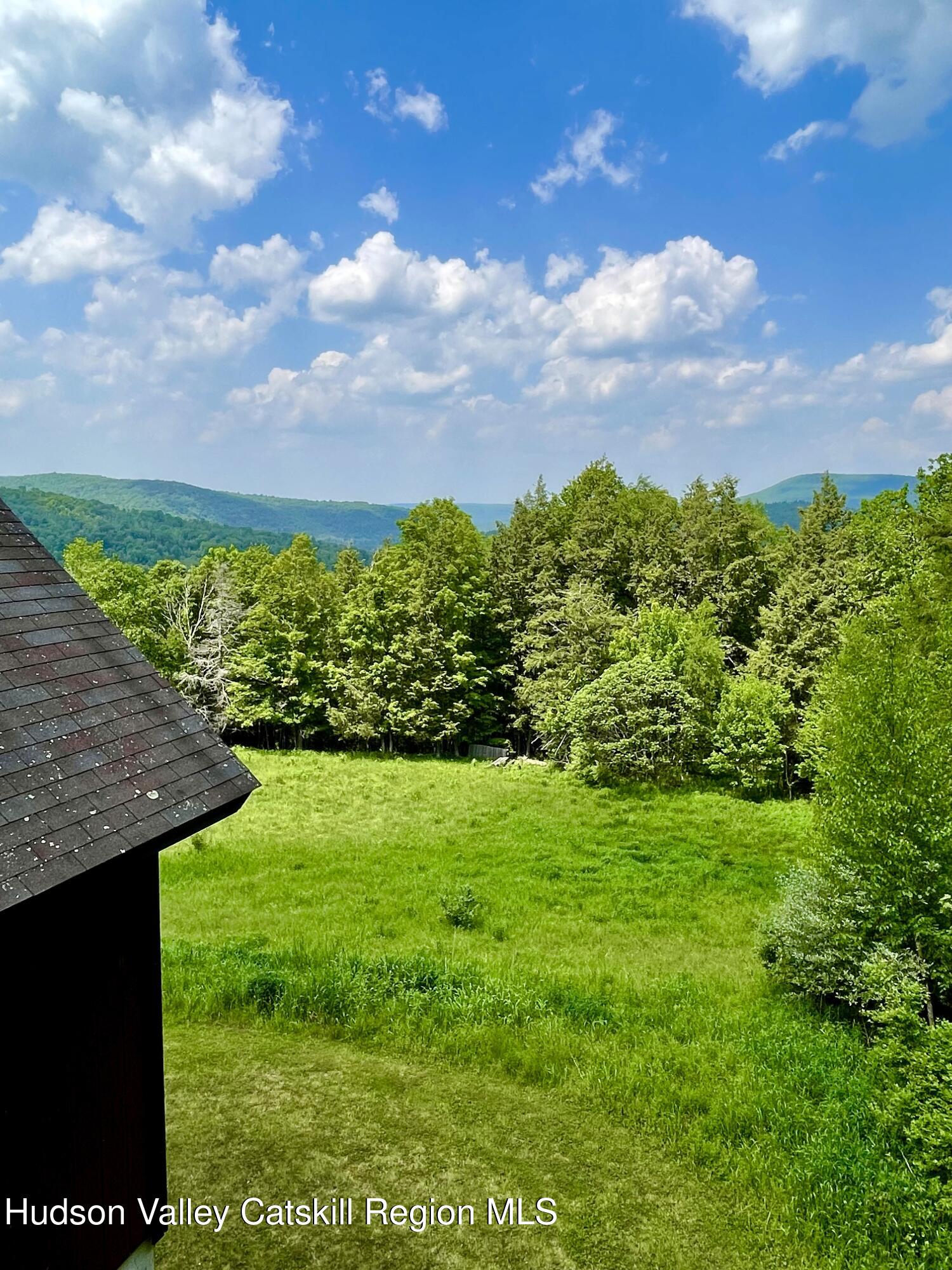 27 Terrace Drive Lexington, NY 12468 - Photo 16 of 37 a view of a garden