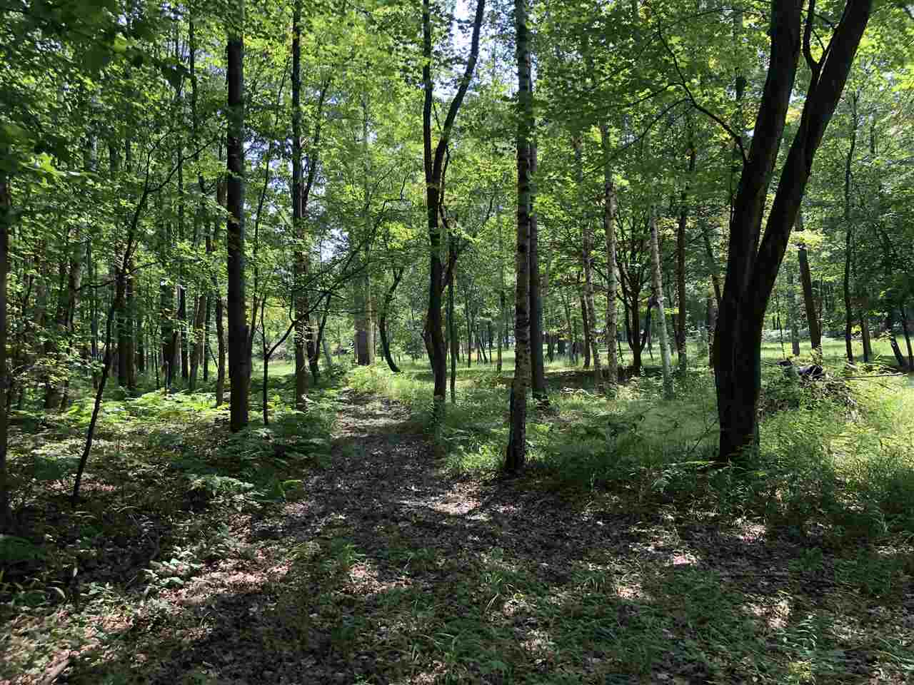4582 West Baker Road Coleman, MI 48618 - Photo 41 of 43