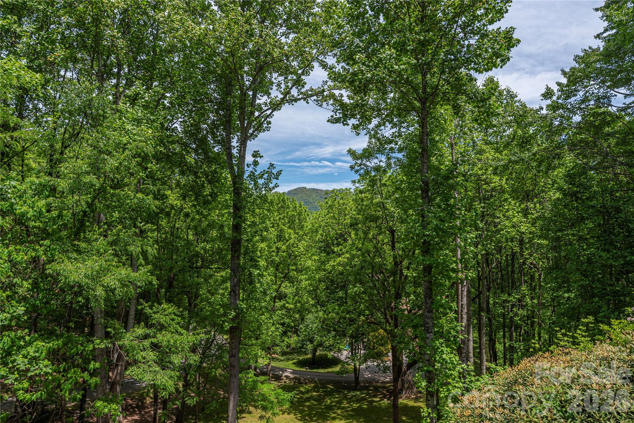 1551 Walnut Creek Road Waynesville, NC 28786 - Photo 33 of 48