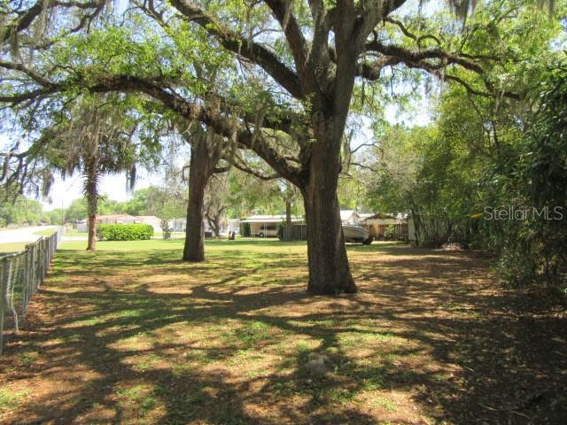 Southeast 102nd Court Road Summerfield, FL 34491 - Photo 5 of 10 a view of a trees with a tree