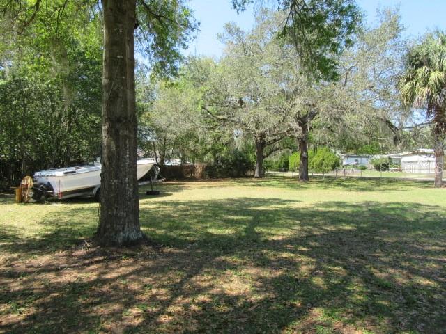 Southeast 102nd Court Road Summerfield, FL 34491 - Photo 8 of 10 a view of a tree in a yard