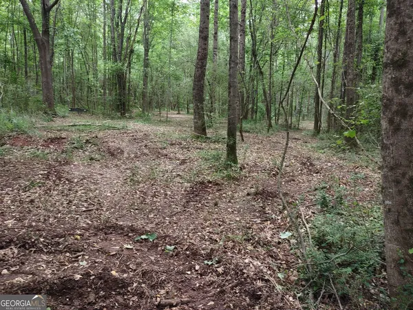 $85,000 | 7001 Coatsworth Drive, Unit LOT 1, Stockbridge, GA 30281