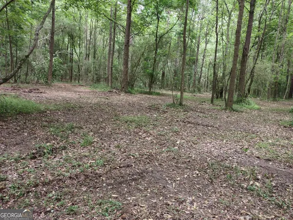 $85,000 | 7001 Coatsworth Drive, Unit LOT 1, Stockbridge, GA 30281