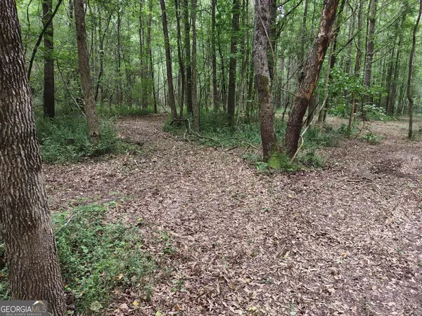 $85,000 | 7001 Coatsworth Drive, Unit LOT 1, Stockbridge, GA 30281