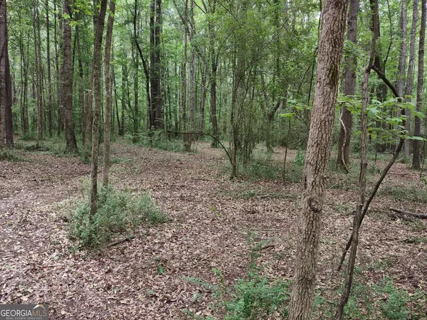 $85,000 | 7001 Coatsworth Drive, Unit LOT 1, Stockbridge, GA 30281