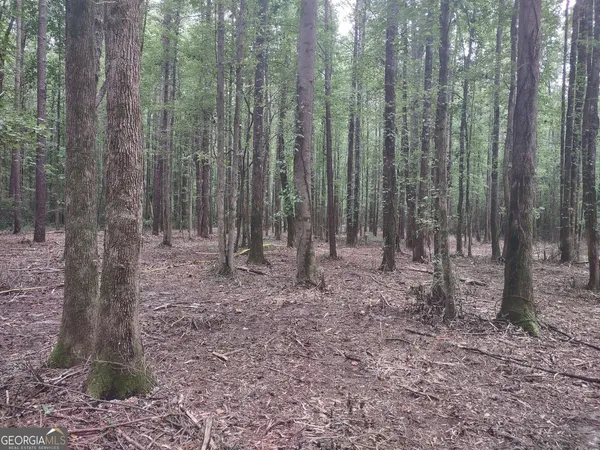 $85,000 | 7001 Coatsworth Drive, Unit LOT 1, Stockbridge, GA 30281