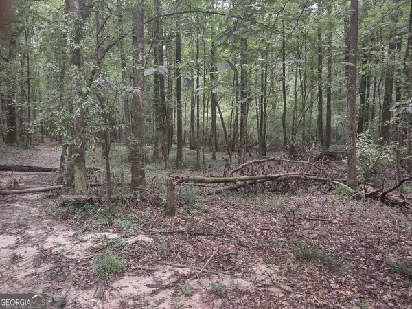 $85,000 | 7001 Coatsworth Drive, Unit LOT 1, Stockbridge, GA 30281