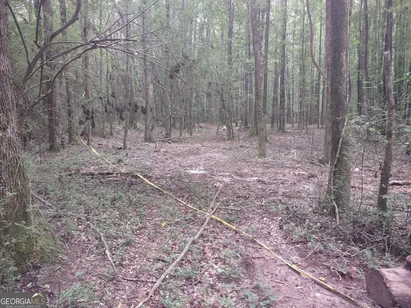 $85,000 | 7001 Coatsworth Drive, Unit LOT 1, Stockbridge, GA 30281