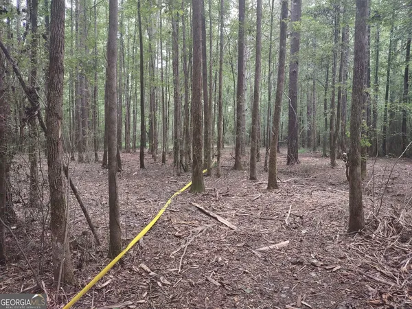 $85,000 | 7001 Coatsworth Drive, Unit LOT 1, Stockbridge, GA 30281