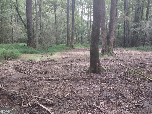 $85,000 | 7001 Coatsworth Drive, Unit LOT 1, Stockbridge, GA 30281