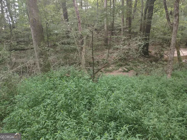 $85,000 | 7001 Coatsworth Drive, Unit LOT 1, Stockbridge, GA 30281