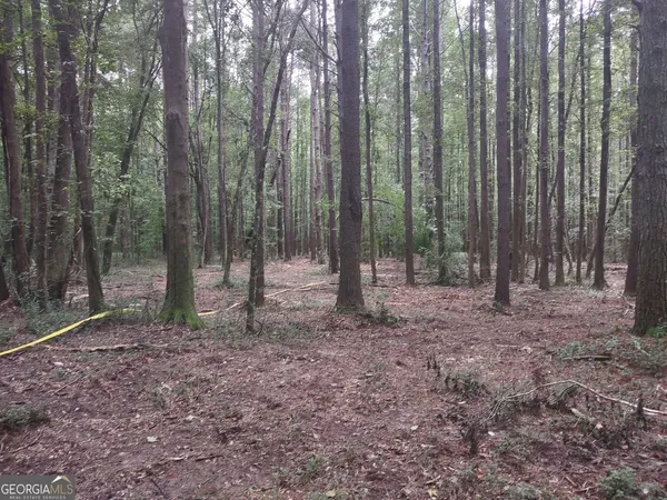 $85,000 | 7001 Coatsworth Drive, Unit LOT 1, Stockbridge, GA 30281