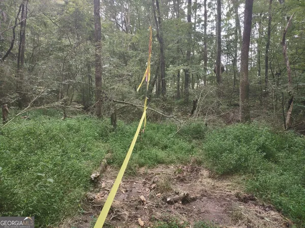 $85,000 | 7001 Coatsworth Drive, Unit LOT 1, Stockbridge, GA 30281