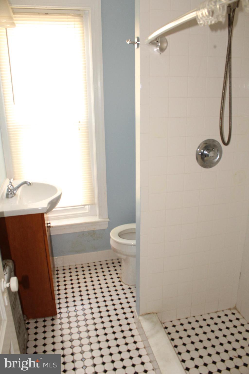 3748 Sharp Street Philadelphia, PA 19127 - Photo 32 of 49 bathroom