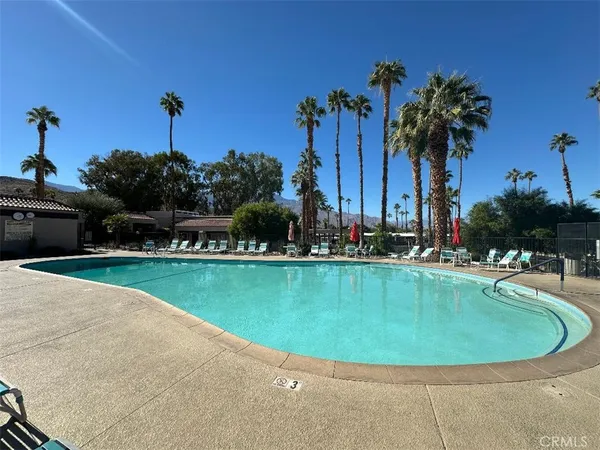 a view of a swimming pool with a yard and palm trees