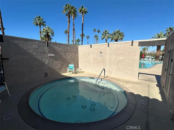 a view of a swimming pool with a potted plants