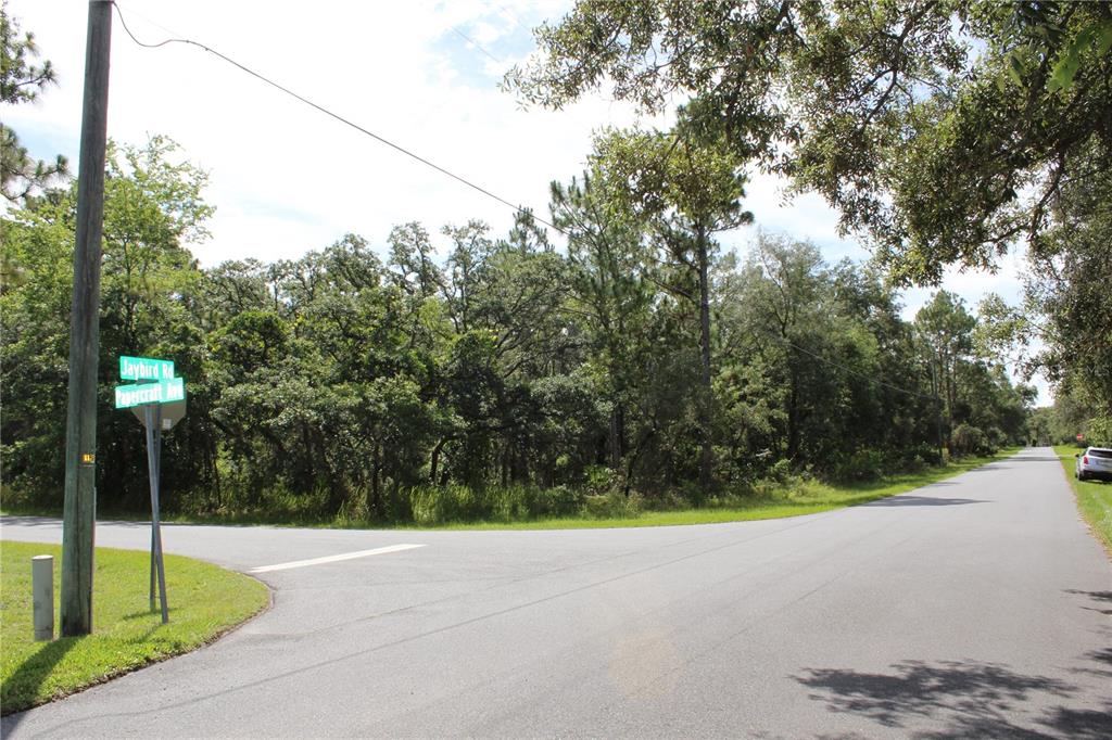 12130 Jaybird Road Weeki Wachee, FL 34614 - Photo 1 of 1 Gallery Image 1