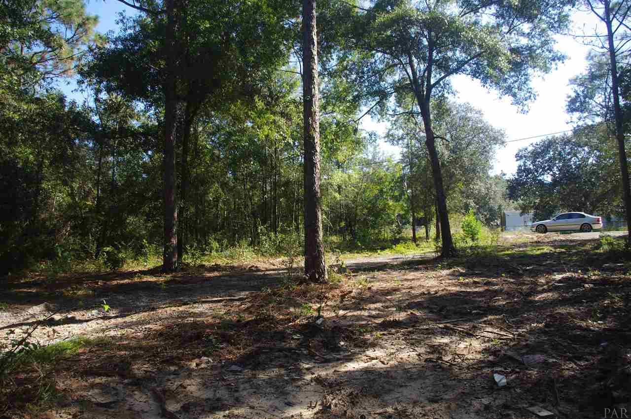 5077 East Lake Road Milton, FL 32583 - Photo 1 of 12 Gallery Image 1