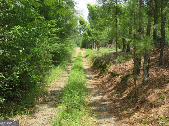 a view of outdoor space and trees all around