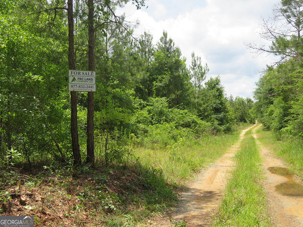 0 Louise Bell Road Lumpkin, GA 31815 - Photo 2 of 13 a view of a lake with tall trees