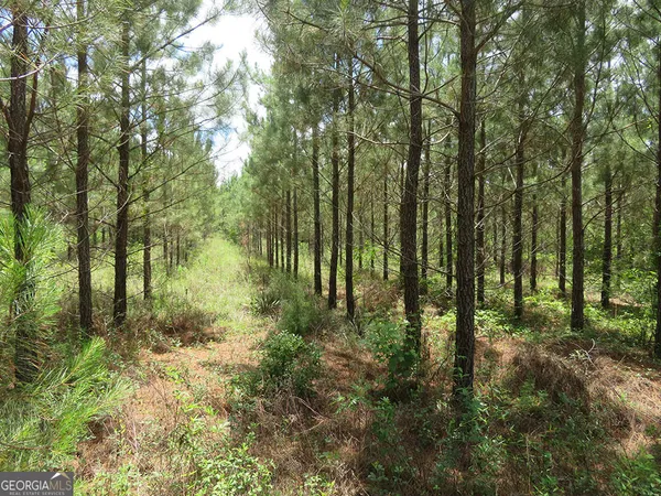 a view of outdoor space and green space
