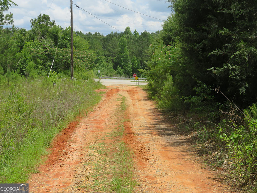 0 Louise Bell Road Lumpkin, GA 31815 - Photo 10 of 13 a view of a water pond with green space
