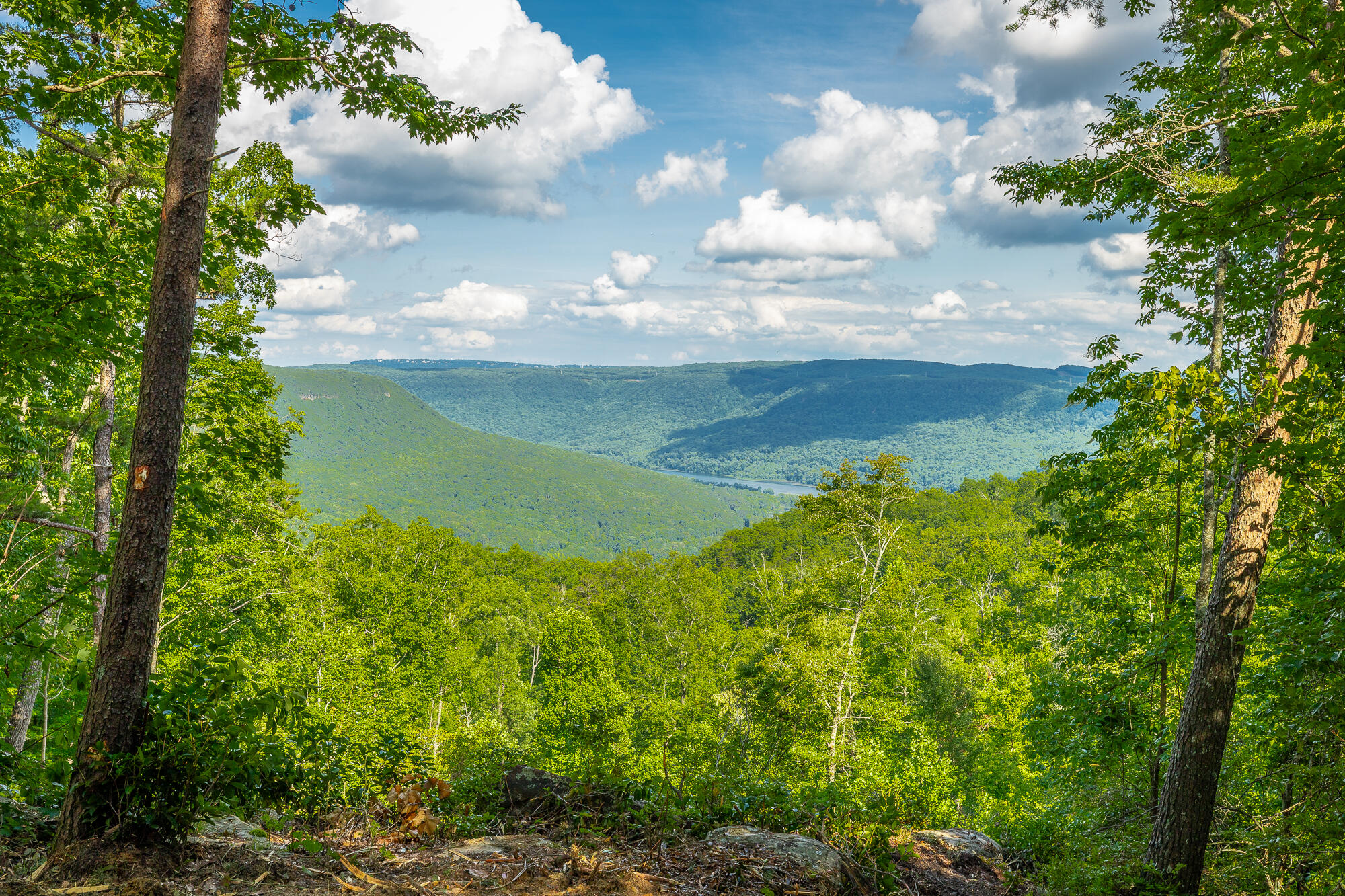 0 Back Basin Trail, Unit LOT 1244 Chattanooga, TN 37419 - Photo 9 of 119 MCW Correction HD-22