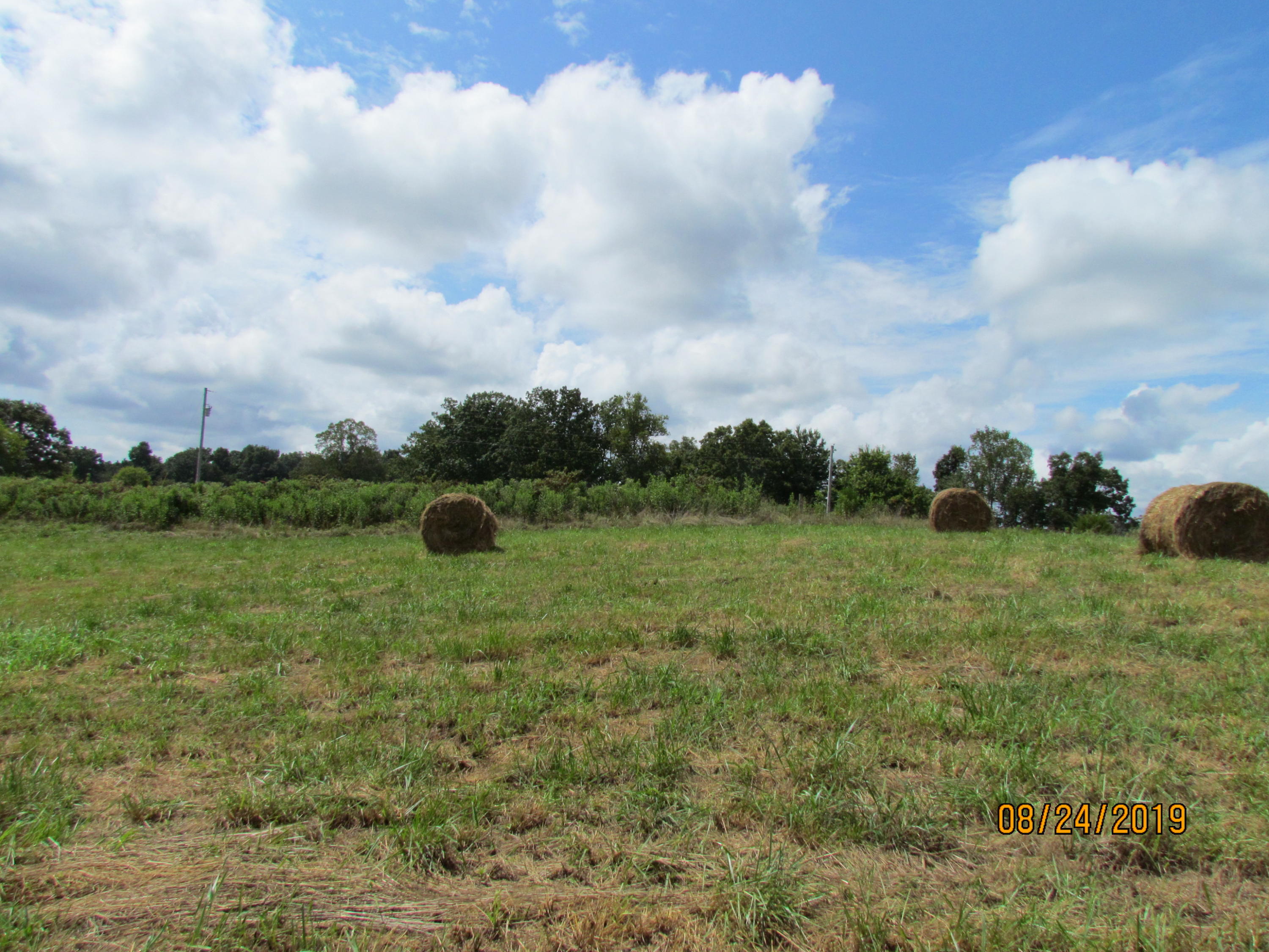 Estes Road Loudon, TN 37774 - Photo 14 of 24 IMG_0983