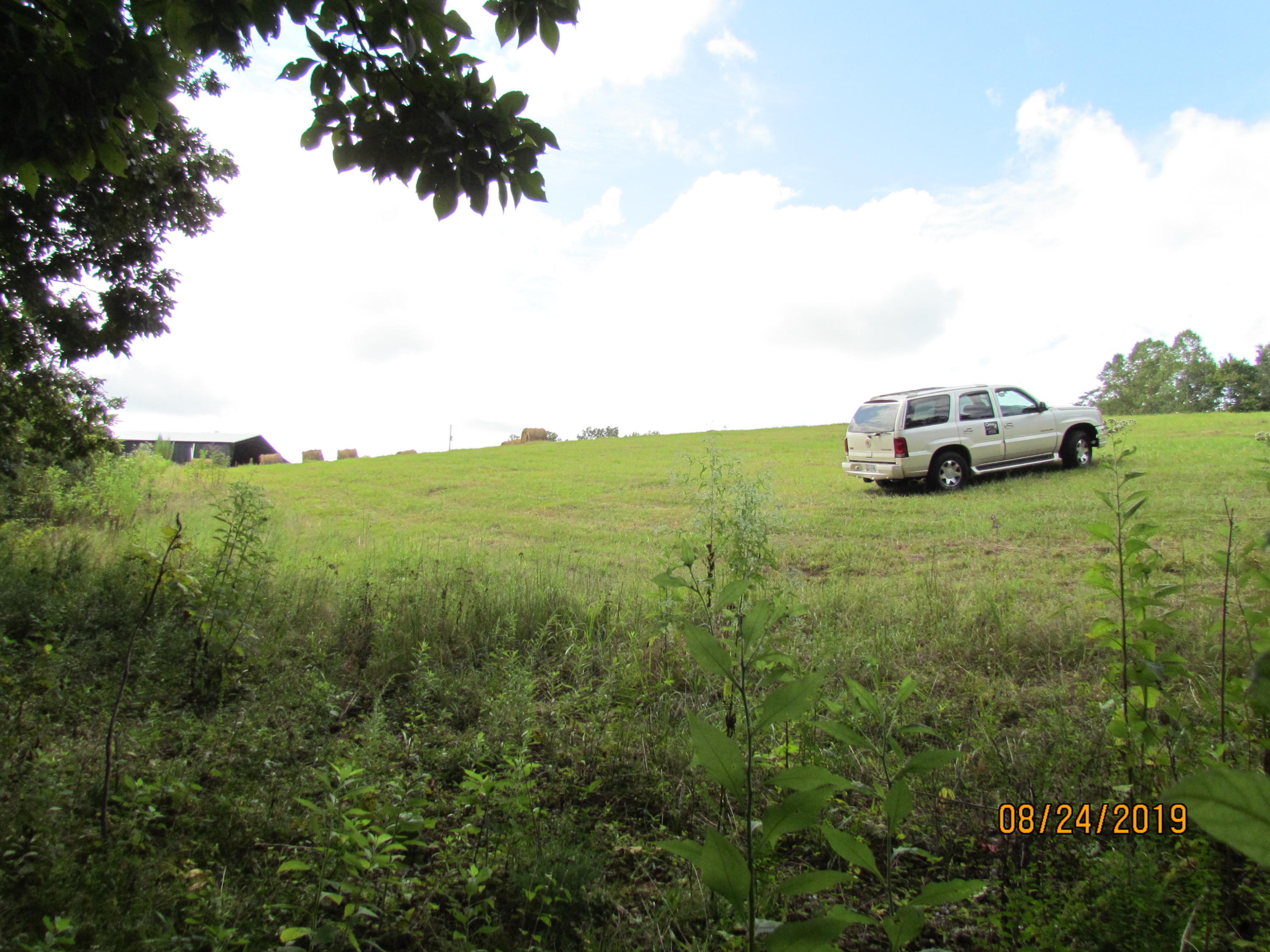 Estes Road Loudon, TN 37774 - Photo 3 of 24 IMG_0994