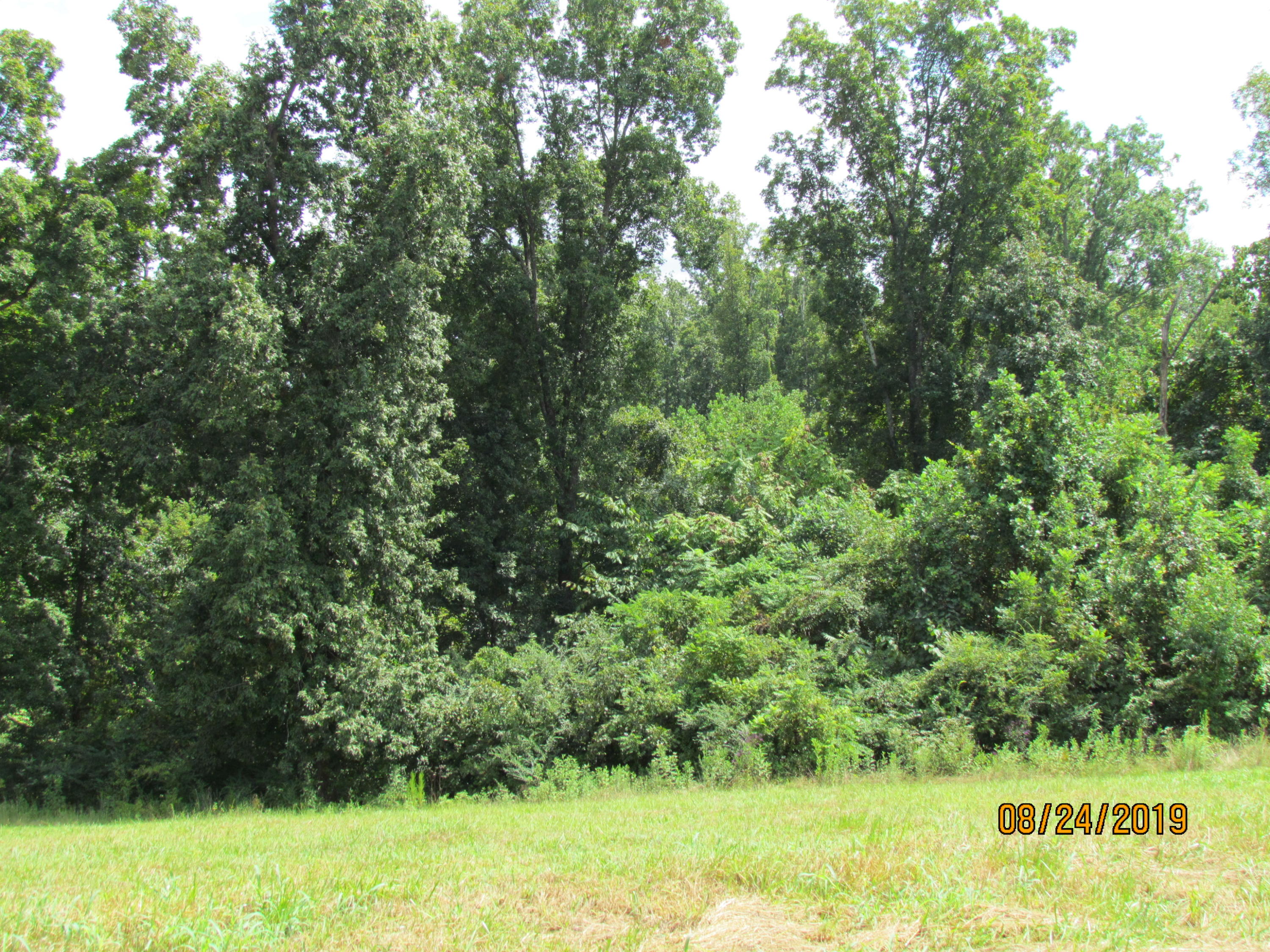 Estes Road Loudon, TN 37774 - Photo 22 of 24 IMG_0989