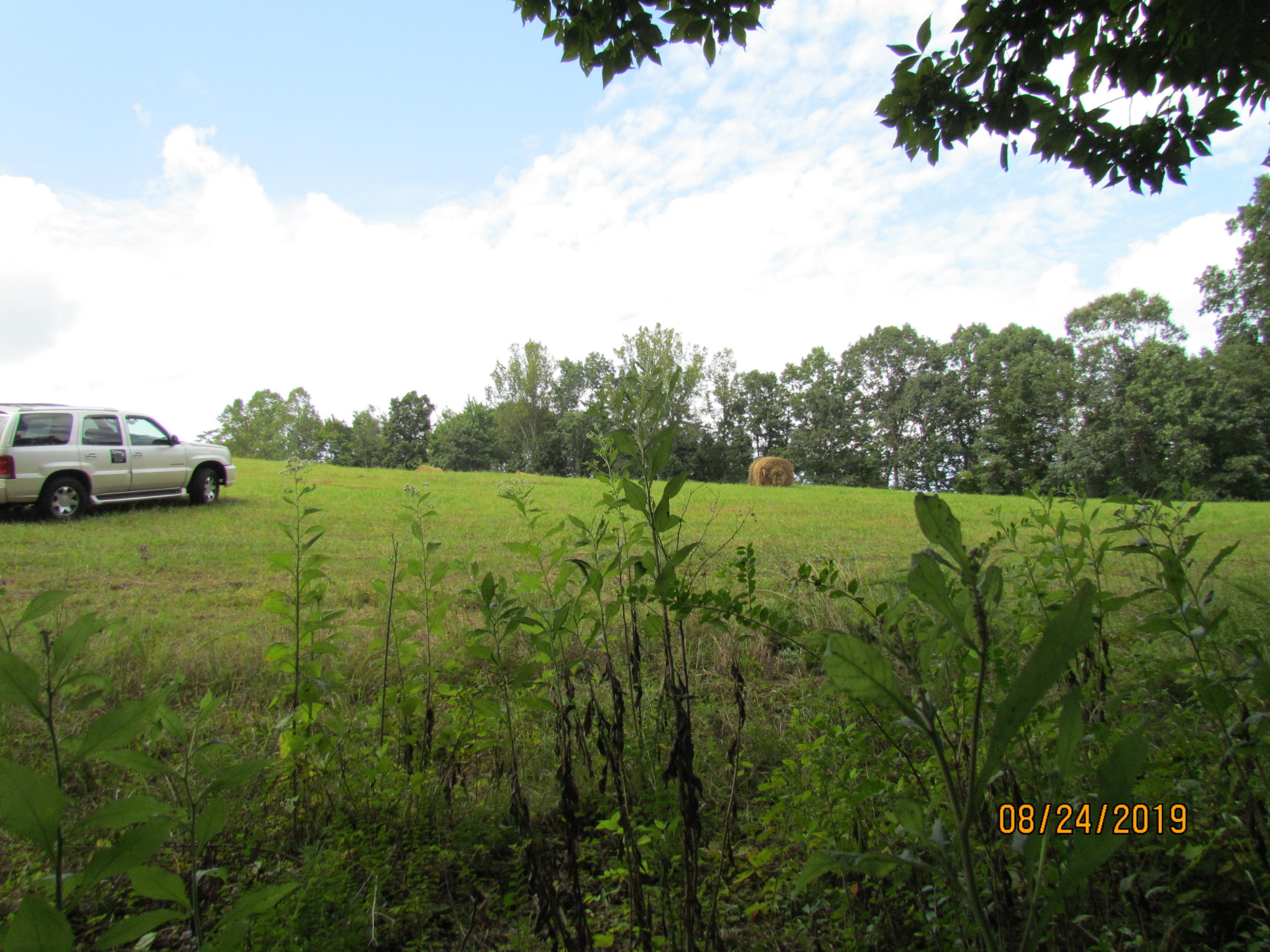 Estes Road Loudon, TN 37774 - Photo 8 of 24 IMG_0993