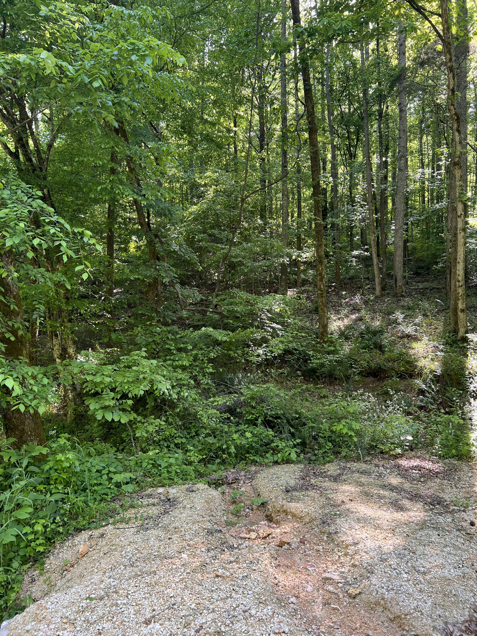 845 Warren Hollow Road Clifton, TN 38425 - Photo 1 of 4 Gallery Image 1