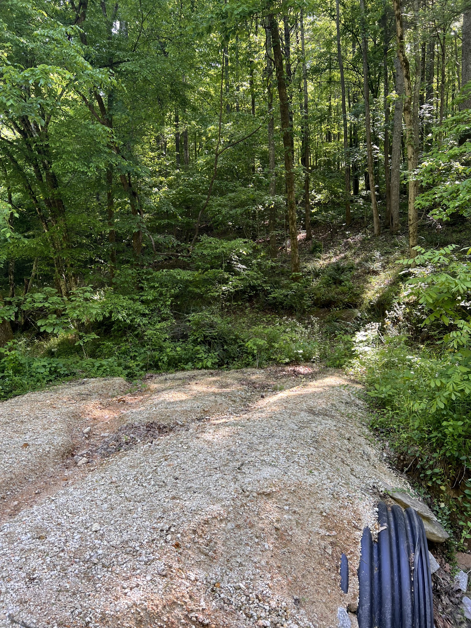 845 Warren Hollow Road Clifton, TN 38425 - Photo 4 of 4 Gallery Image 4