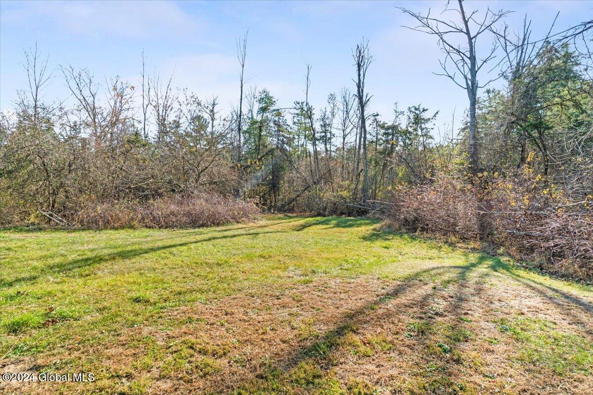 25 Thorpe Road Catskill, NY 12414 - Photo 24 of 24 Backyard 1