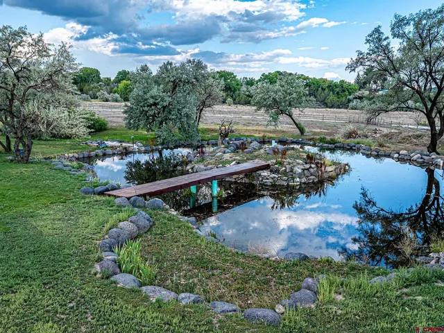 a view of a garden with a lake